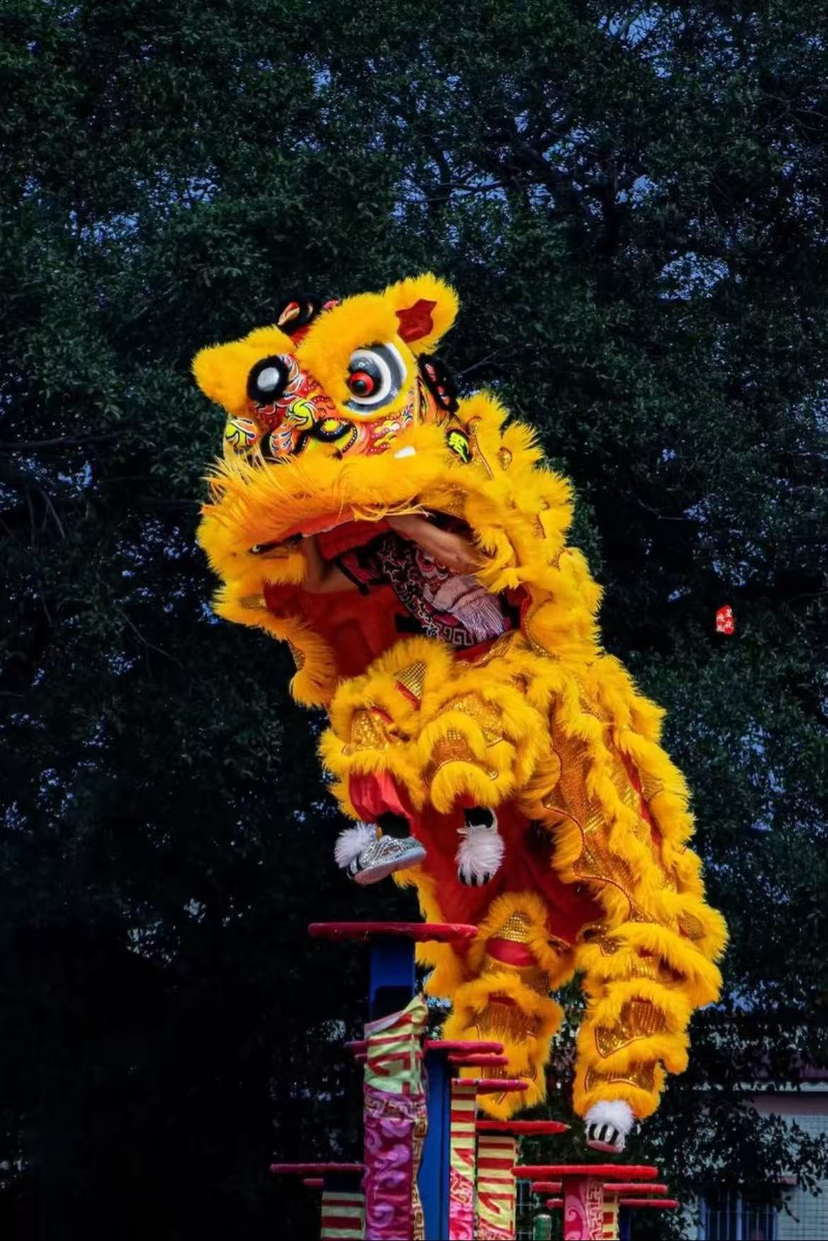 金黄色醒狮站立于梅花桩顶,展示高桩采青技艺,背景为深色树丛